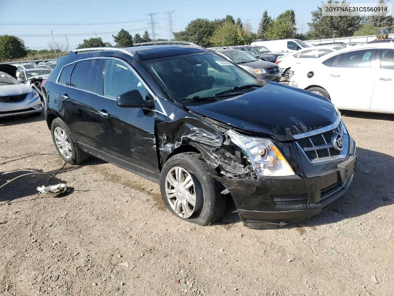 2012 Cadillac Srx Luxury Collection VIN: 3GYFNAE31CS560914 Lot: 74032434