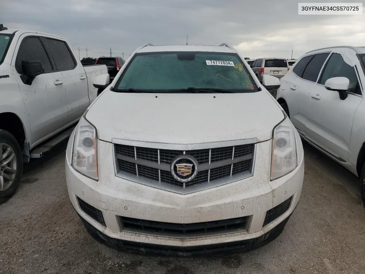 2012 Cadillac Srx Luxury Collection VIN: 3GYFNAE34CS570725 Lot: 74772834