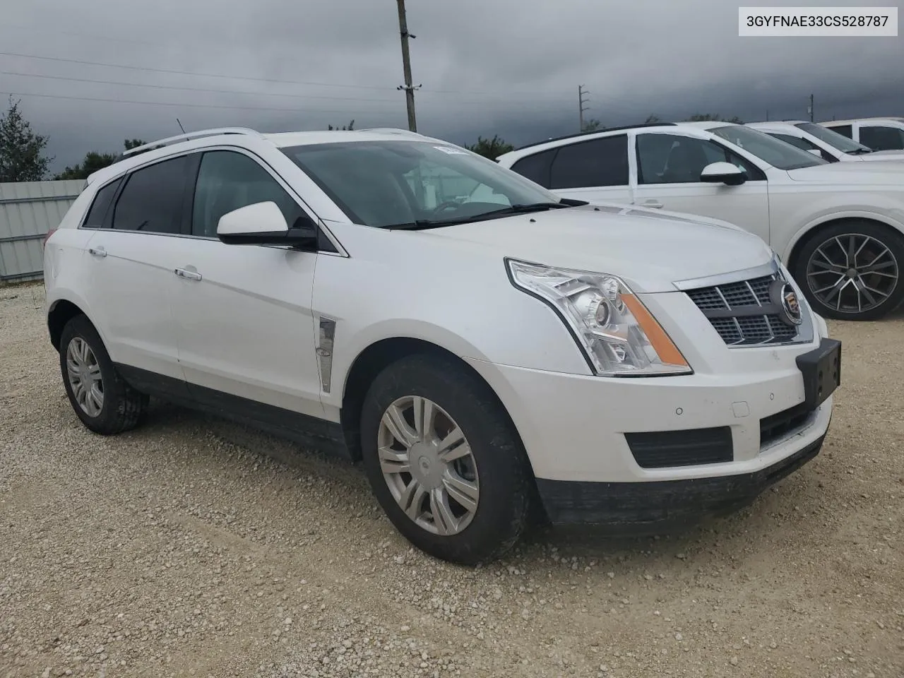 2012 Cadillac Srx Luxury Collection VIN: 3GYFNAE33CS528787 Lot: 74874254