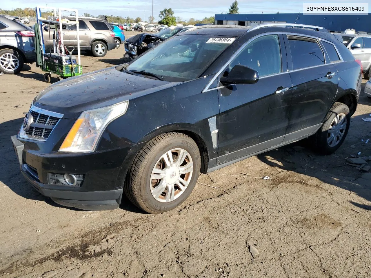 2012 Cadillac Srx Premium Collection VIN: 3GYFNFE3XCS616409 Lot: 75406864