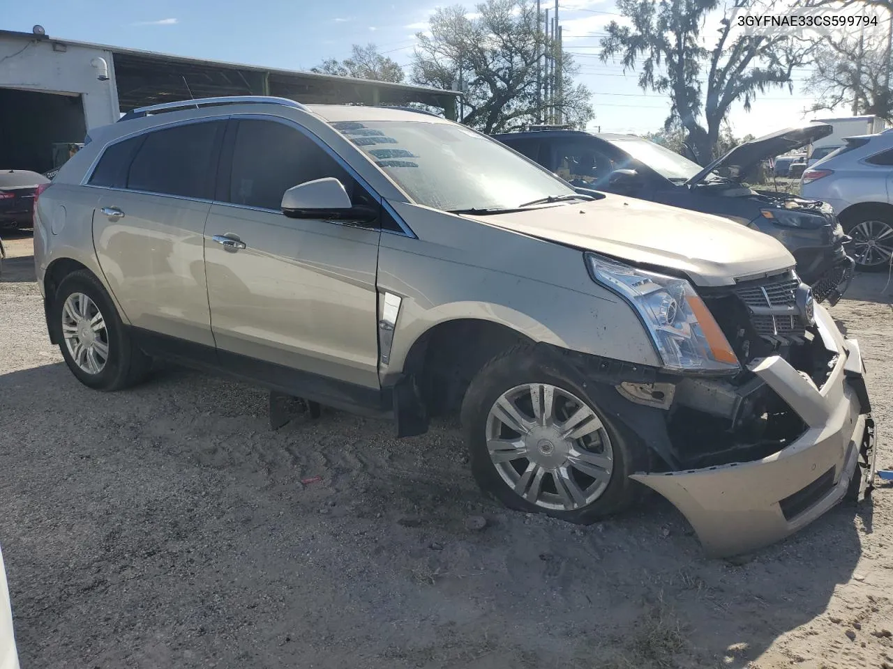 2012 Cadillac Srx Luxury Collection VIN: 3GYFNAE33CS599794 Lot: 76824684