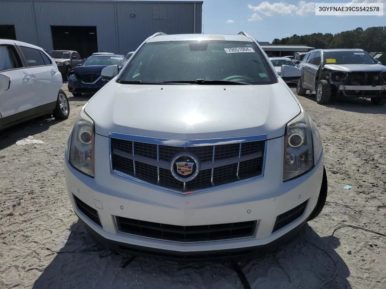 2012 Cadillac Srx Luxury Collection VIN: 3GYFNAE39CS542578 Lot: 79051064