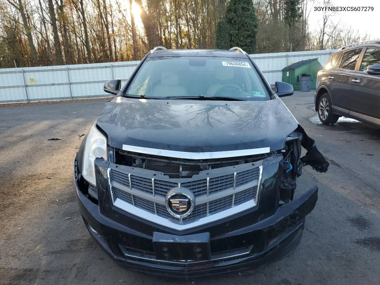 2012 Cadillac Srx Performance Collection VIN: 3GYFNBE3XCS607279 Lot: 79630854