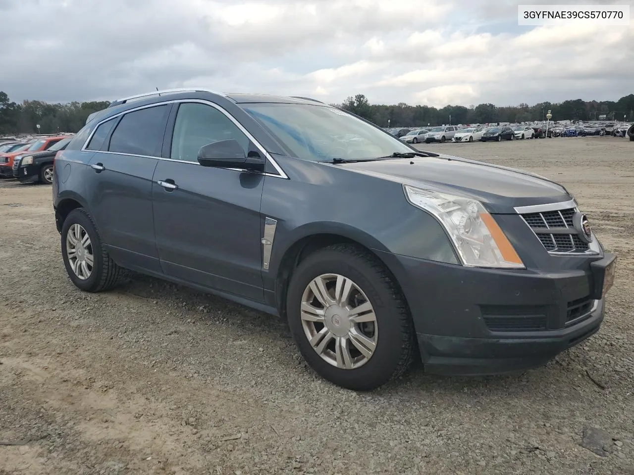 2012 Cadillac Srx Luxury Collection VIN: 3GYFNAE39CS570770 Lot: 80151924