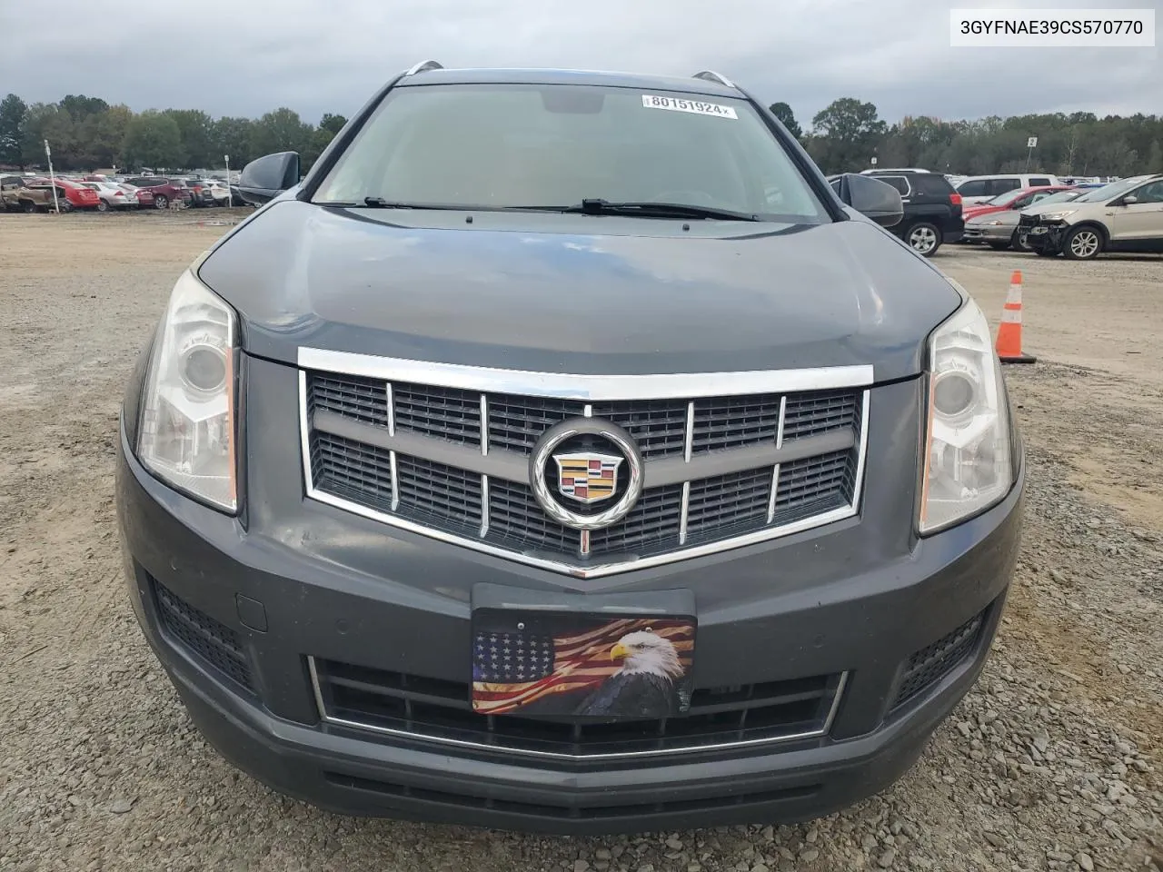 2012 Cadillac Srx Luxury Collection VIN: 3GYFNAE39CS570770 Lot: 80151924