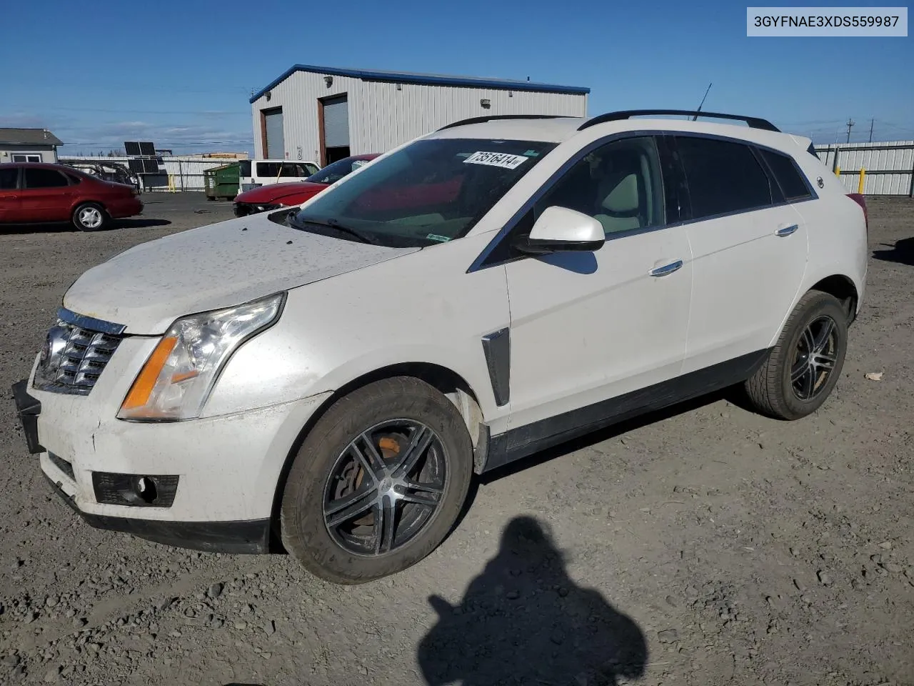 2013 Cadillac Srx VIN: 3GYFNAE3XDS559987 Lot: 73516414