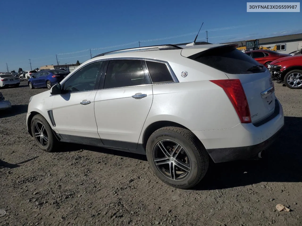 2013 Cadillac Srx VIN: 3GYFNAE3XDS559987 Lot: 73516414