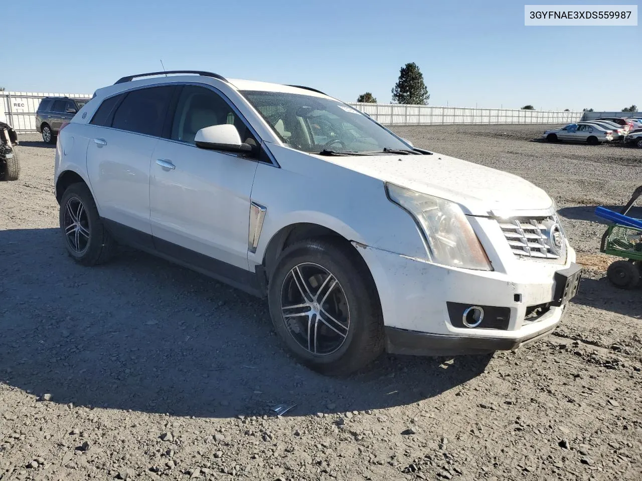 2013 Cadillac Srx VIN: 3GYFNAE3XDS559987 Lot: 73516414