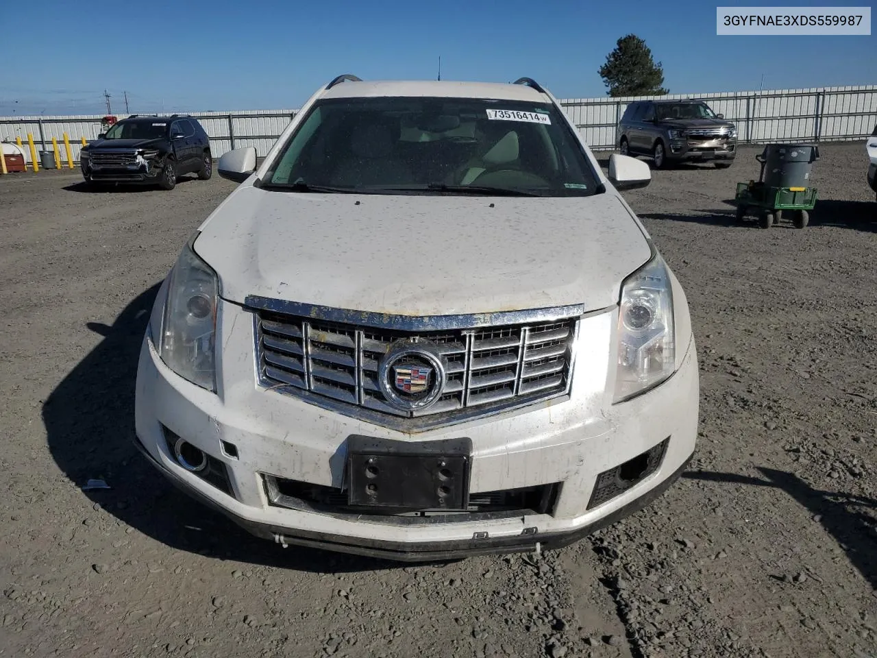 2013 Cadillac Srx VIN: 3GYFNAE3XDS559987 Lot: 73516414