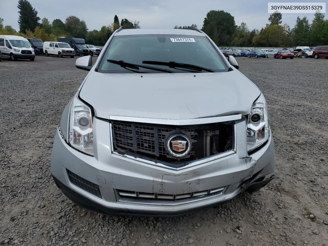 2013 Cadillac Srx VIN: 3GYFNAE39DS515379 Lot: 73647374