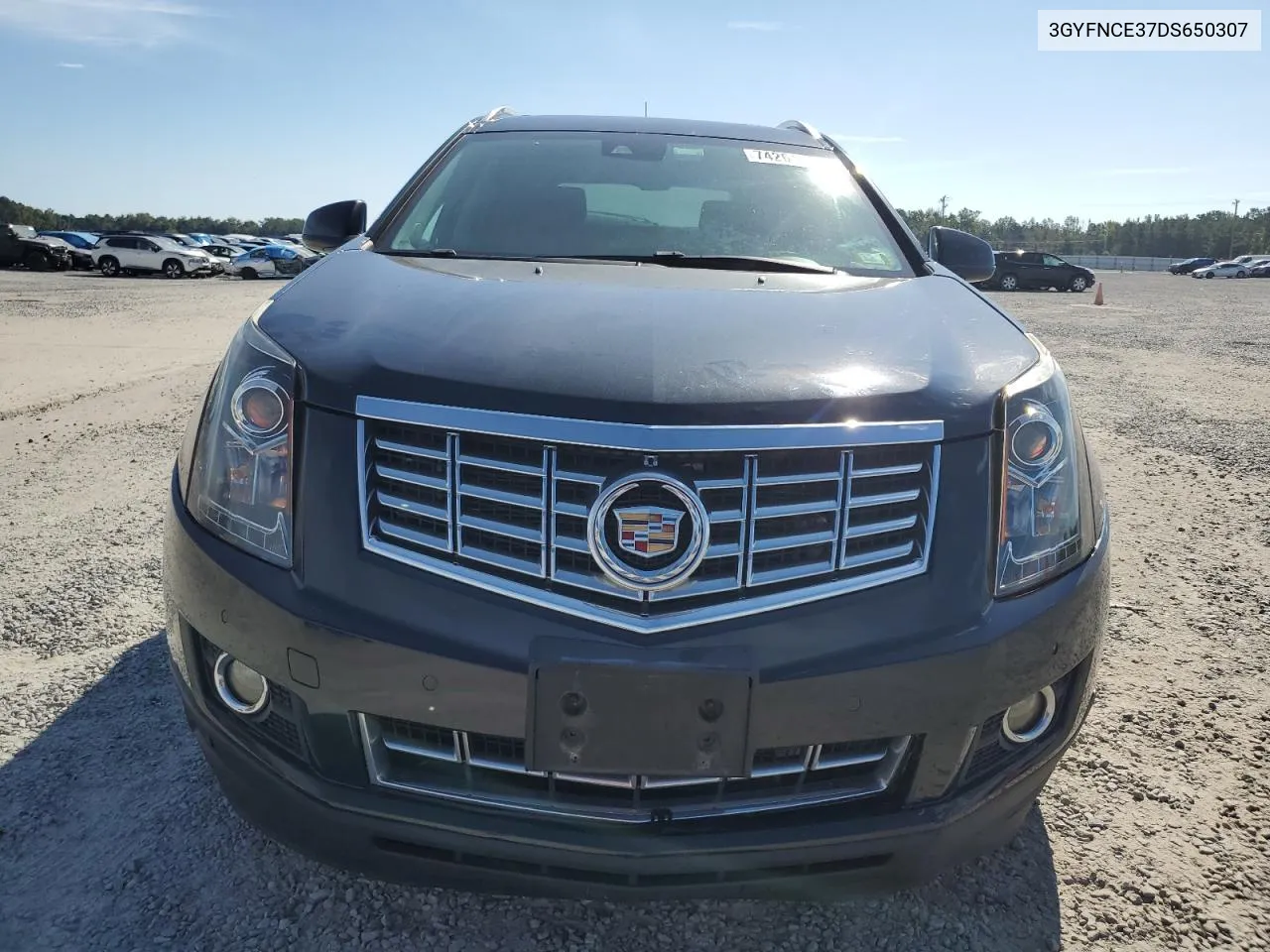 2013 Cadillac Srx Luxury Collection VIN: 3GYFNCE37DS650307 Lot: 74261984