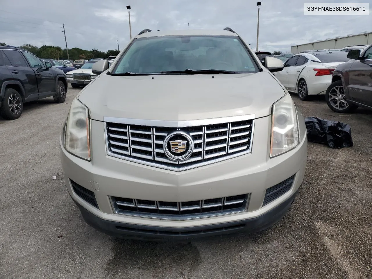 2013 Cadillac Srx VIN: 3GYFNAE38DS616610 Lot: 74980914