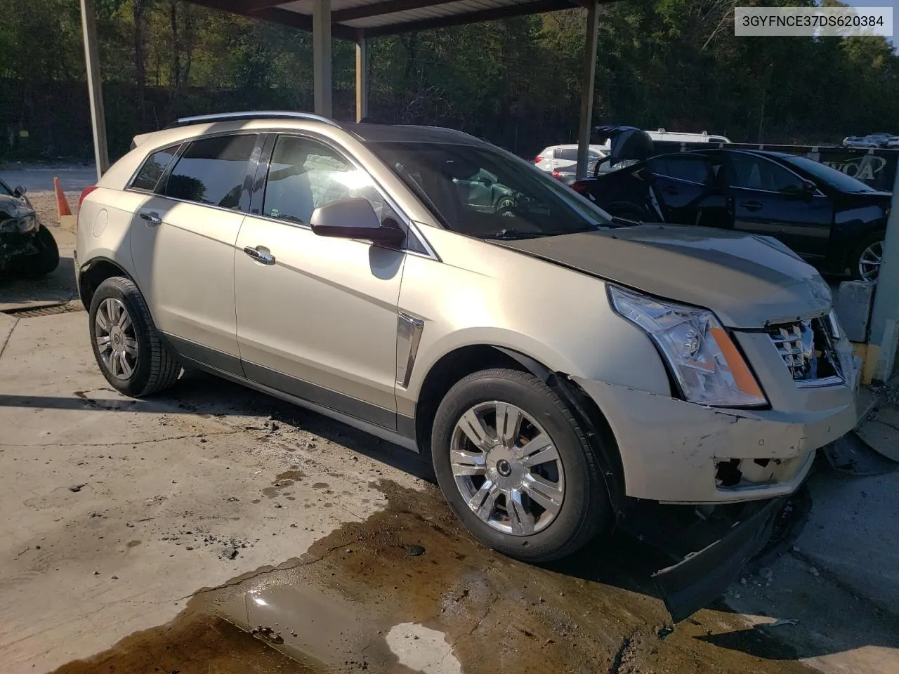 2013 Cadillac Srx Luxury Collection VIN: 3GYFNCE37DS620384 Lot: 74984174