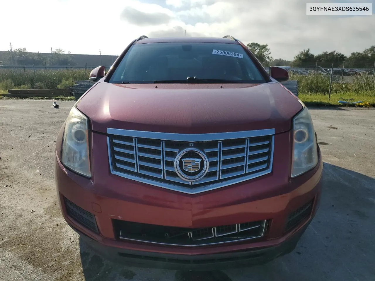 2013 Cadillac Srx VIN: 3GYFNAE3XDS635546 Lot: 75906394