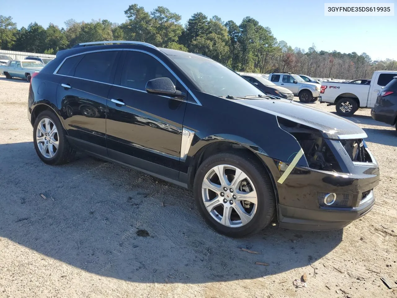 2013 Cadillac Srx Performance Collection VIN: 3GYFNDE35DS619935 Lot: 76380704