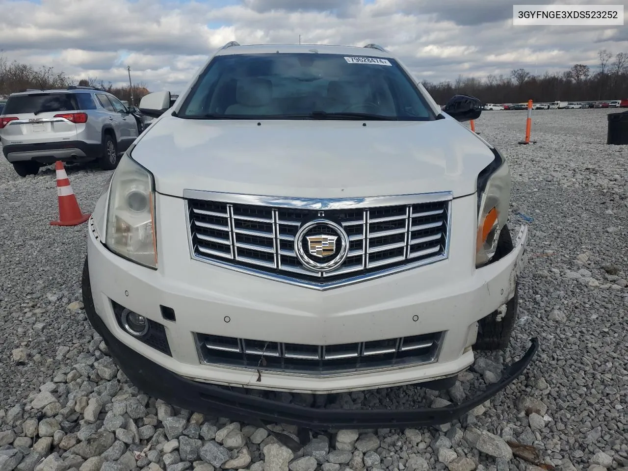 2013 Cadillac Srx Luxury Collection VIN: 3GYFNGE3XDS523252 Lot: 79628474