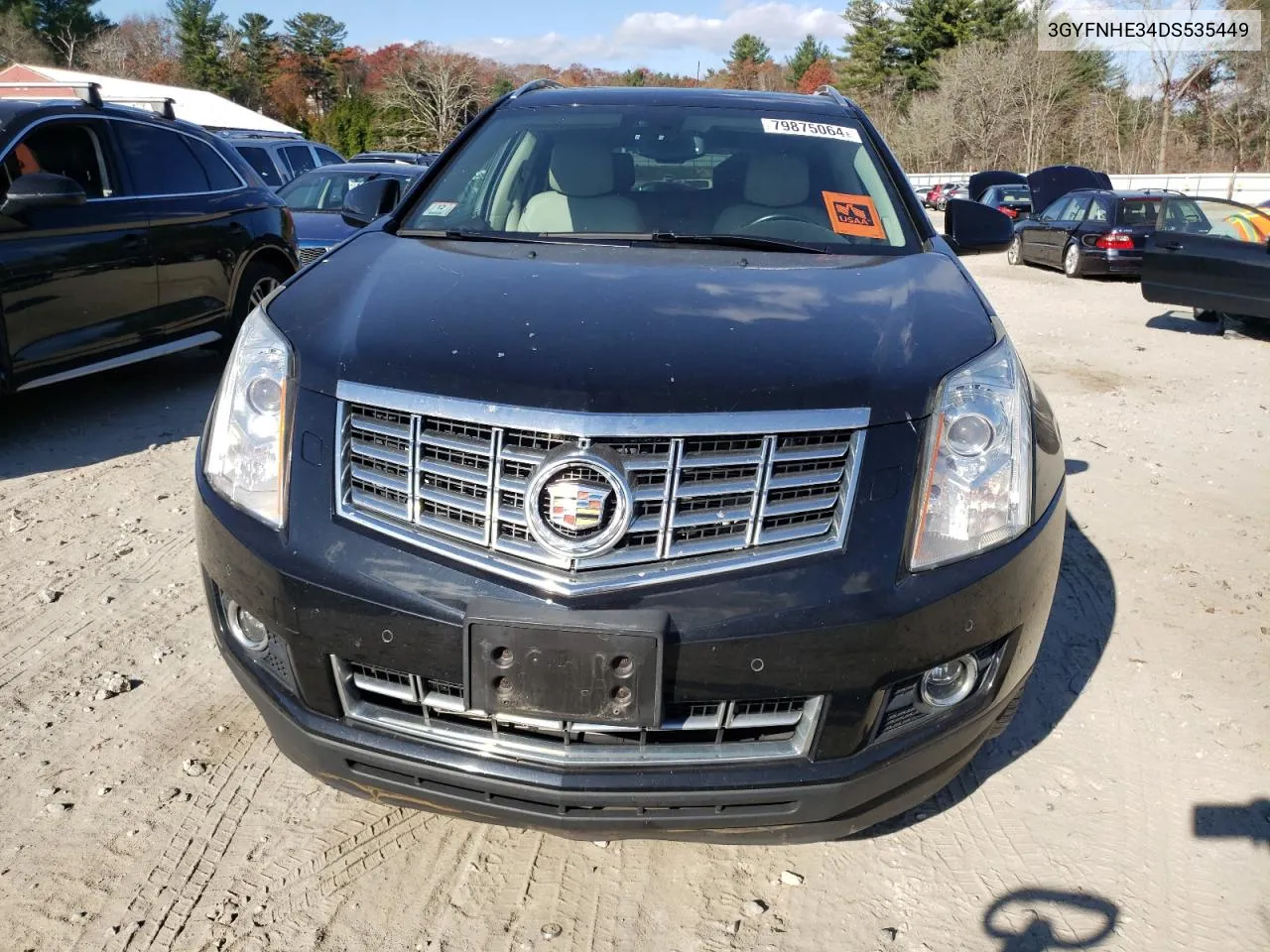 2013 Cadillac Srx Performance Collection VIN: 3GYFNHE34DS535449 Lot: 79875064