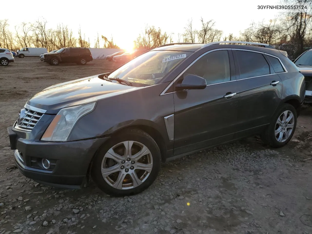 2013 Cadillac Srx Performance Collection VIN: 3GYFNHE39DS557124 Lot: 81257623