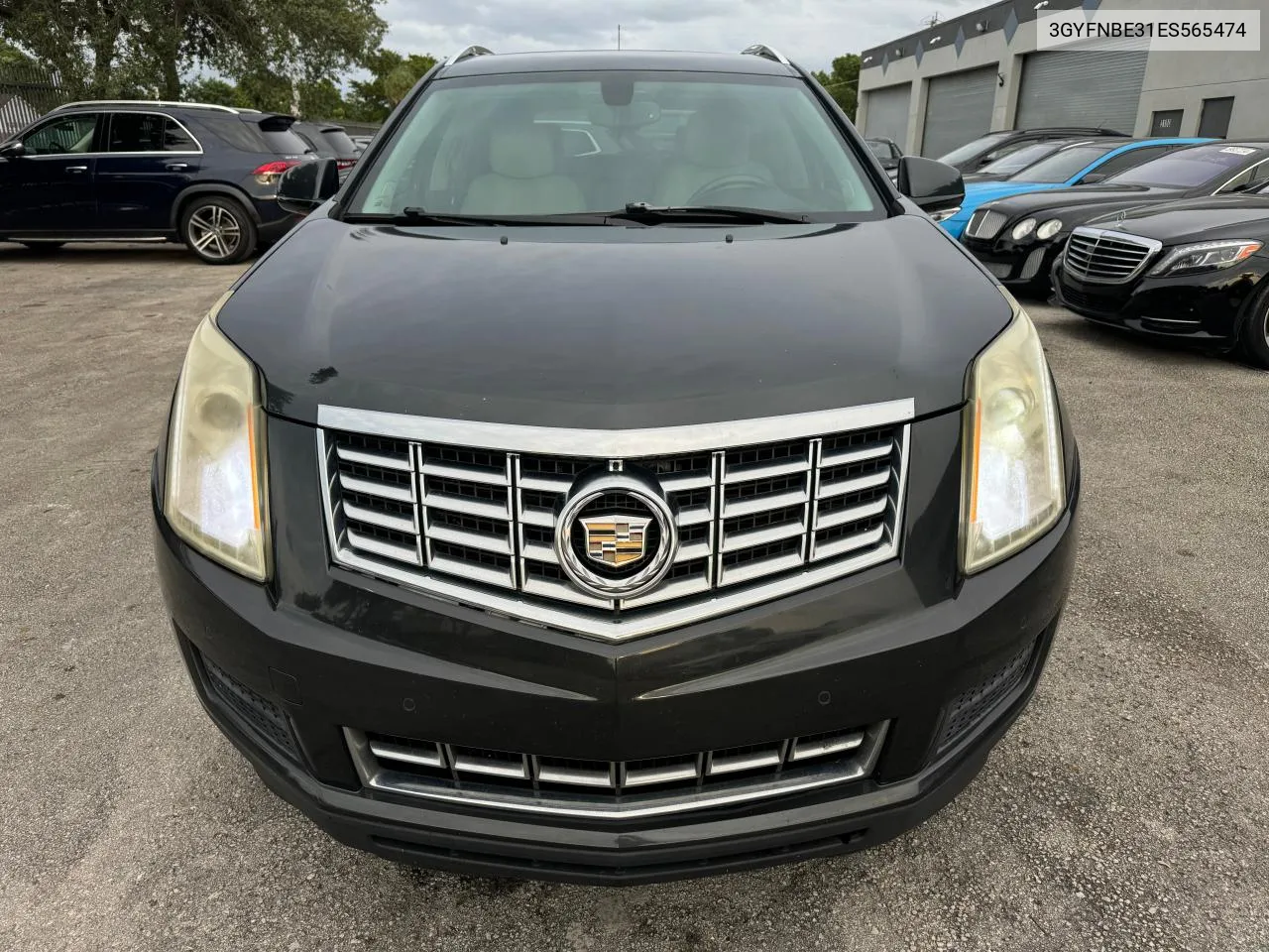 2014 Cadillac Srx Luxury Collection VIN: 3GYFNBE31ES565474 Lot: 77046664