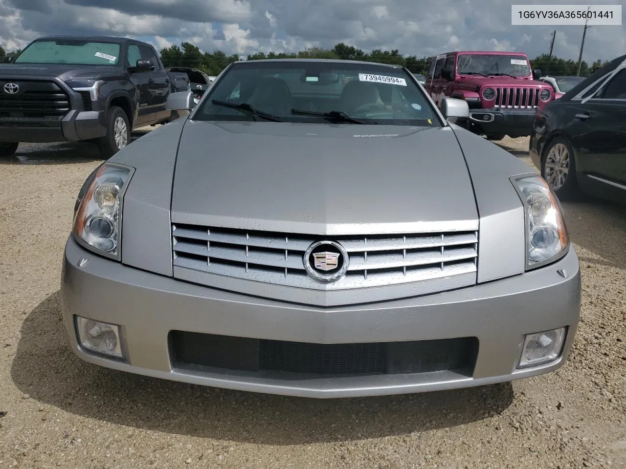 2006 Cadillac Xlr VIN: 1G6YV36A365601441 Lot: 73945994