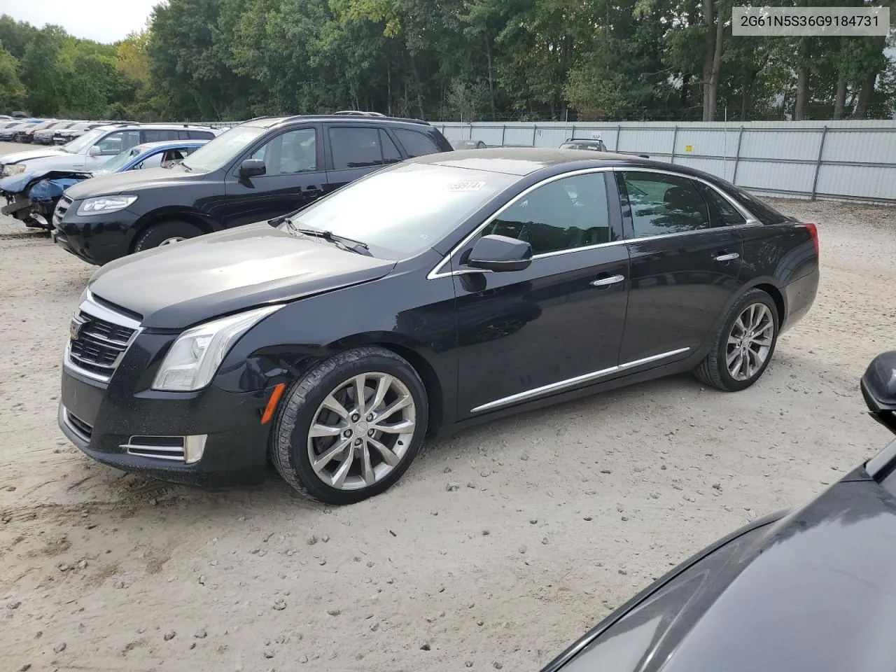 2016 Cadillac Xts Luxury Collection VIN: 2G61N5S36G9184731 Lot: 72159974