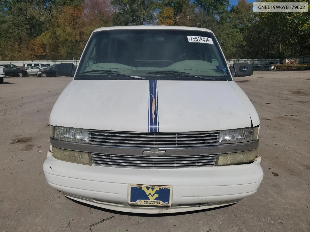 2000 Chevrolet Astro VIN: 1GNEL19W6YB179002 Lot: 75519494