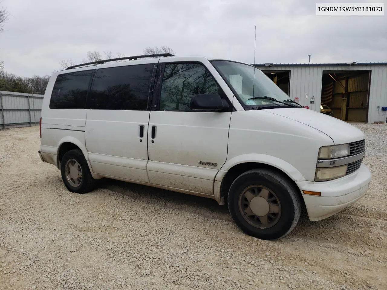 2000 Chevrolet Astro VIN: 1GNDM19W5YB181073 Lot: 80612614