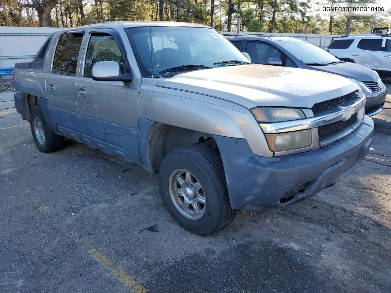 2002 Chevrolet Avalanche C1500 VIN: 3GNEC13T02G310406 Lot: 40287154