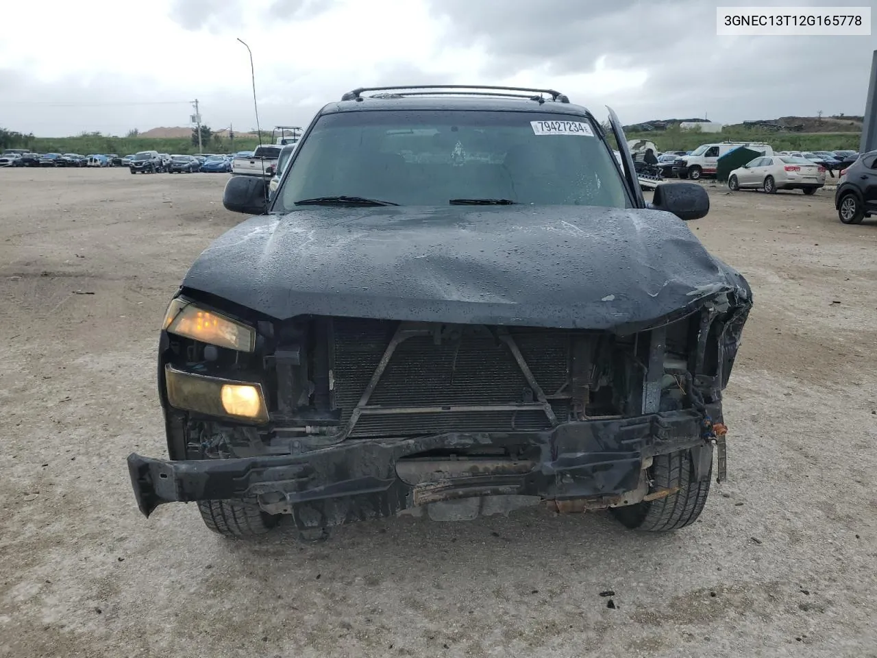 2002 Chevrolet Avalanche C1500 VIN: 3GNEC13T12G165778 Lot: 79427234