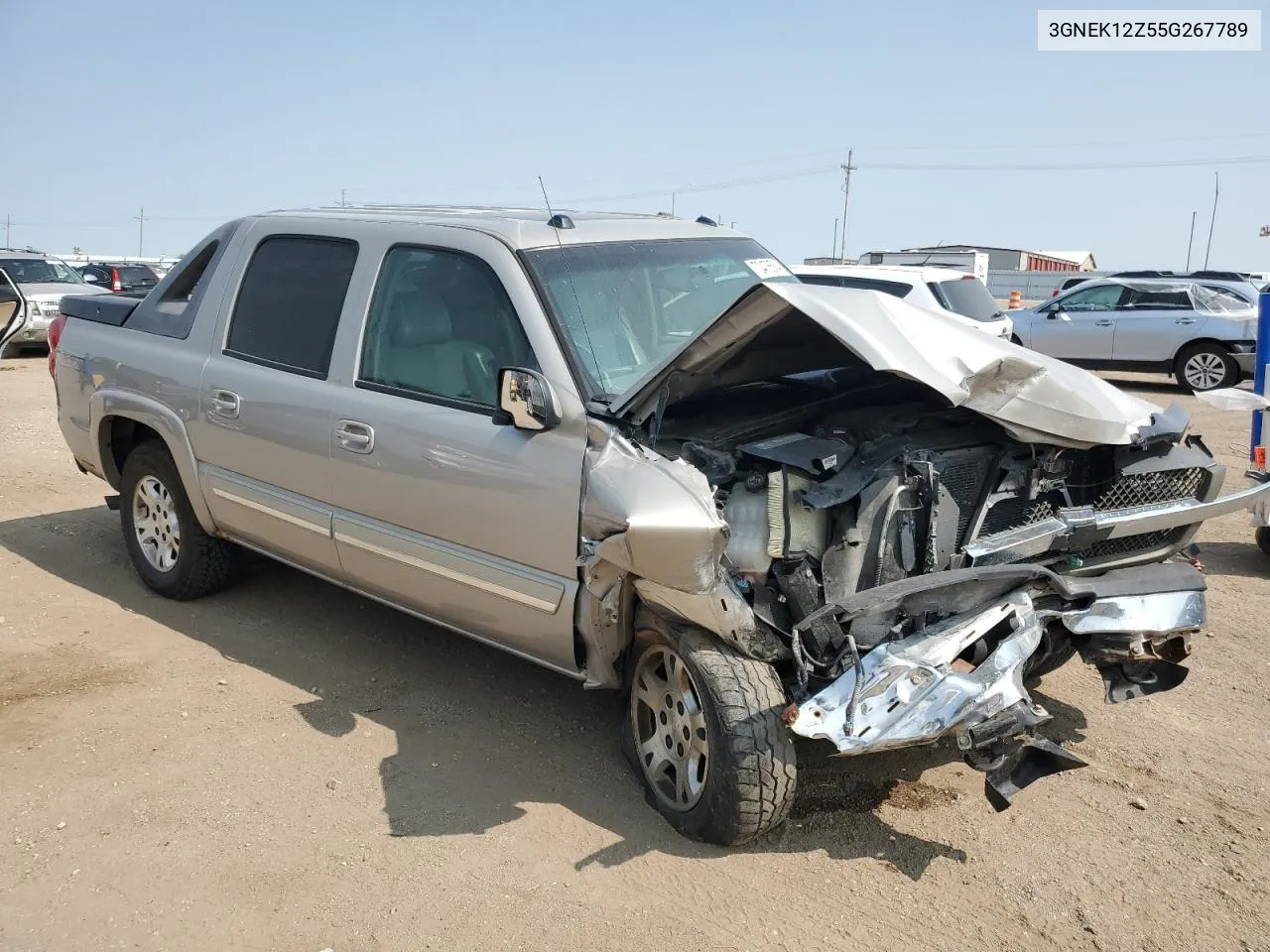 2005 Chevrolet Avalanche K1500 VIN: 3GNEK12Z55G267789 Lot: 70476584