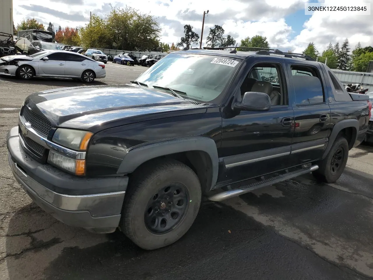 2005 Chevrolet Avalanche K1500 VIN: 3GNEK12Z45G123845 Lot: 72049724