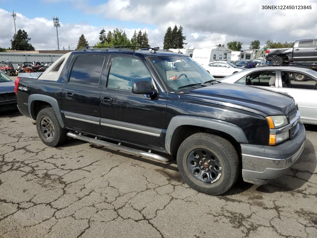 2005 Chevrolet Avalanche K1500 VIN: 3GNEK12Z45G123845 Lot: 72049724