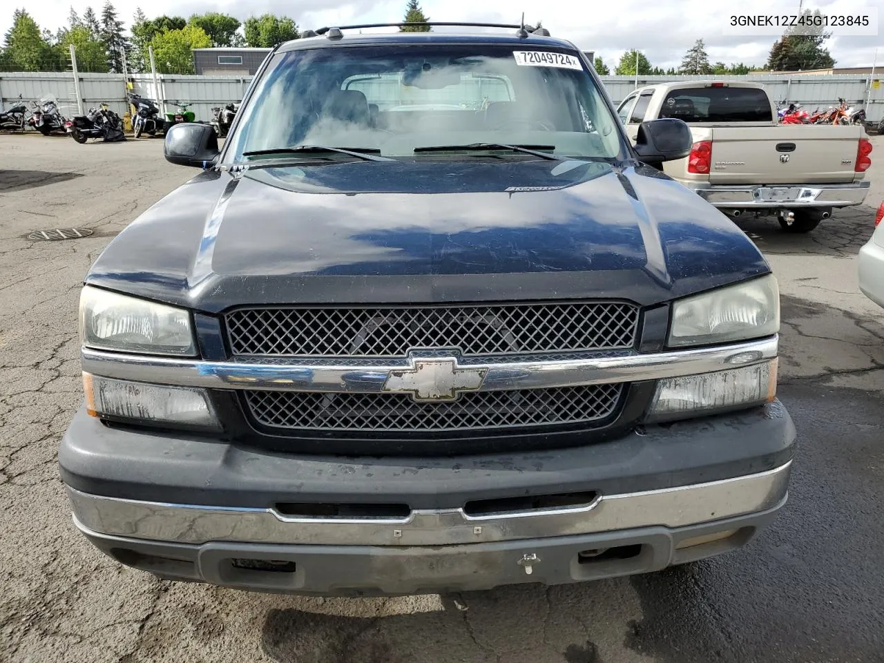 2005 Chevrolet Avalanche K1500 VIN: 3GNEK12Z45G123845 Lot: 72049724