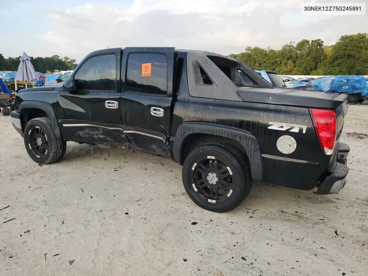 2005 Chevrolet Avalanche K1500 VIN: 3GNEK12Z75G245891 Lot: 73457764