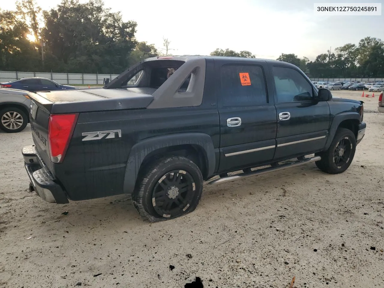 2005 Chevrolet Avalanche K1500 VIN: 3GNEK12Z75G245891 Lot: 73457764