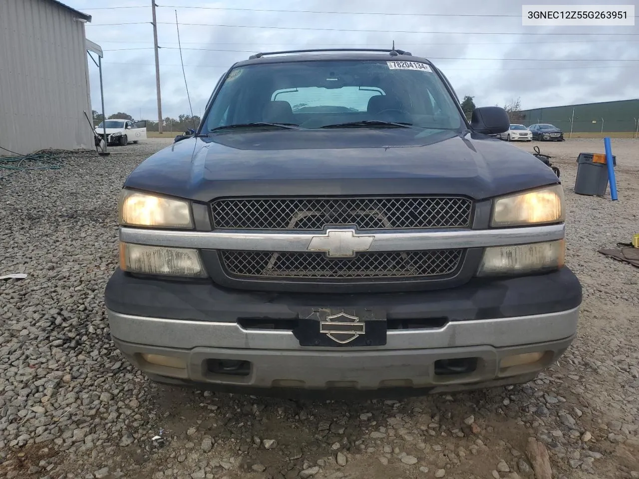 2005 Chevrolet Avalanche C1500 VIN: 3GNEC12Z55G263951 Lot: 78204134