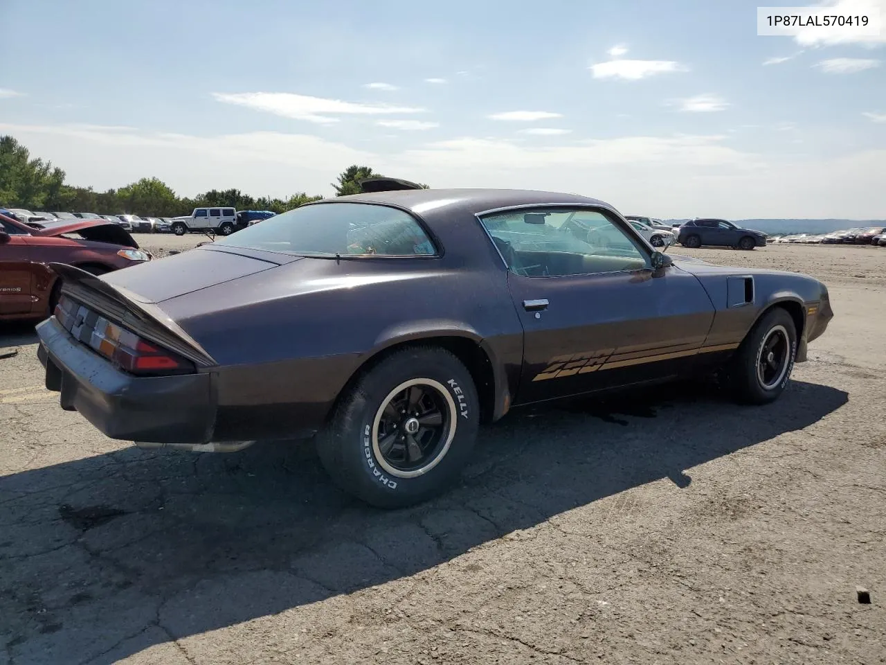 1980 Chevrolet Camaro Z28 VIN: 1P87LAL570419 Lot: 69473944