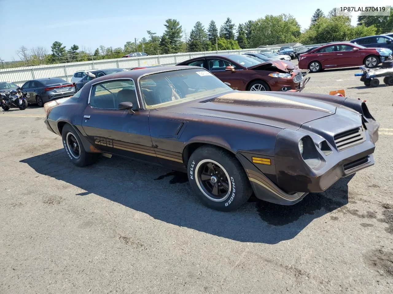 1980 Chevrolet Camaro Z28 VIN: 1P87LAL570419 Lot: 69473944