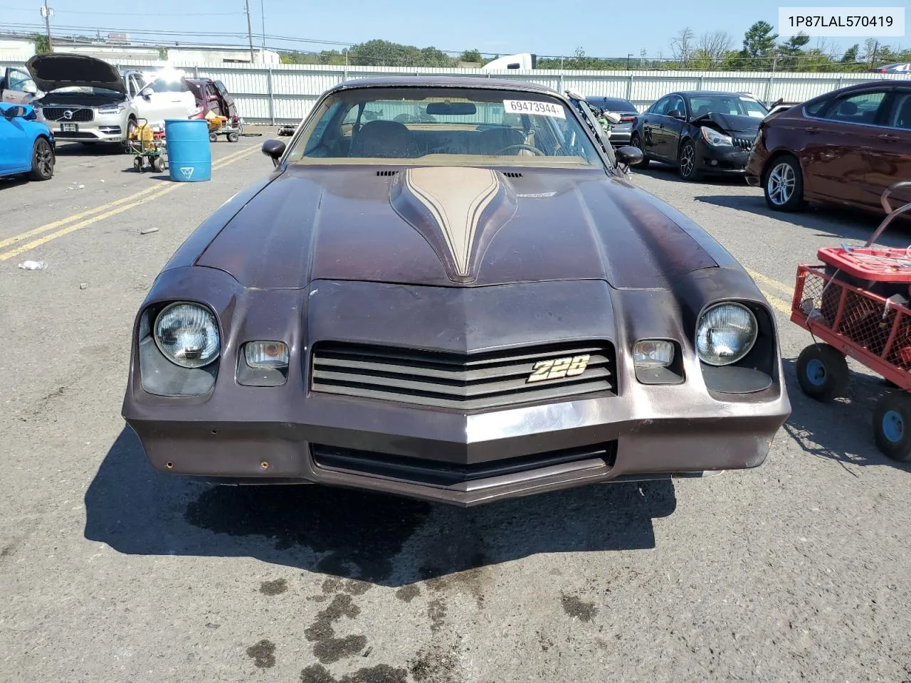 1980 Chevrolet Camaro Z28 VIN: 1P87LAL570419 Lot: 69473944