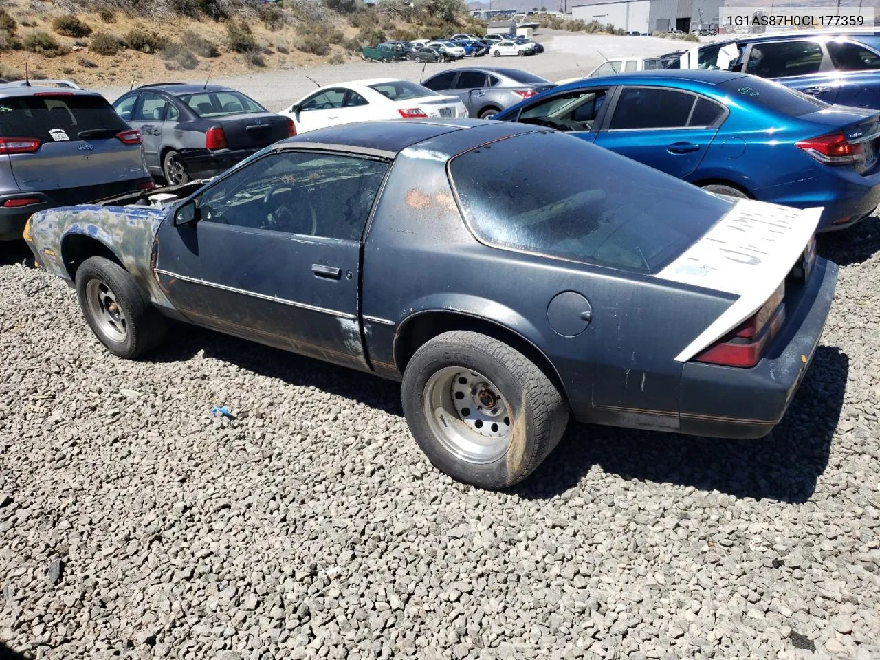 1982 Chevrolet Camaro Berlinetta VIN: 1G1AS87H0CL177359 Lot: 67618414