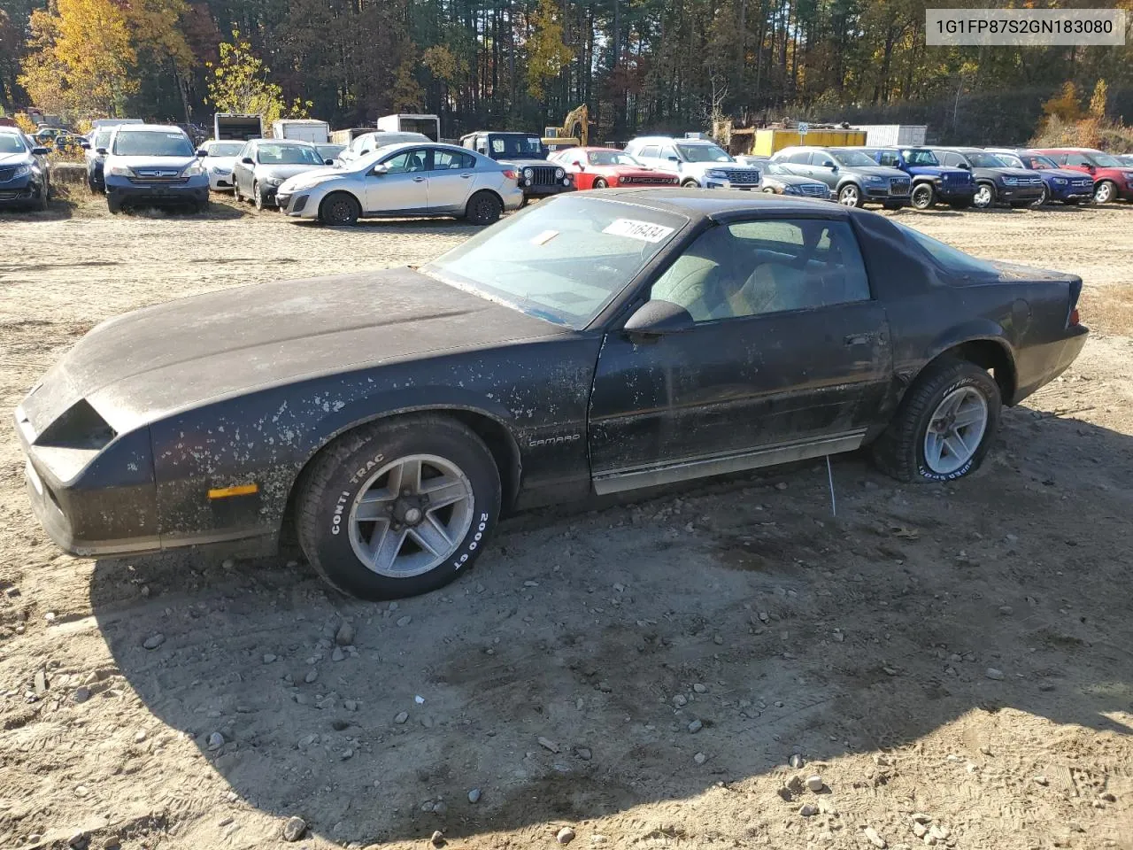 1986 Chevrolet Camaro VIN: 1G1FP87S2GN183080 Lot: 77116434