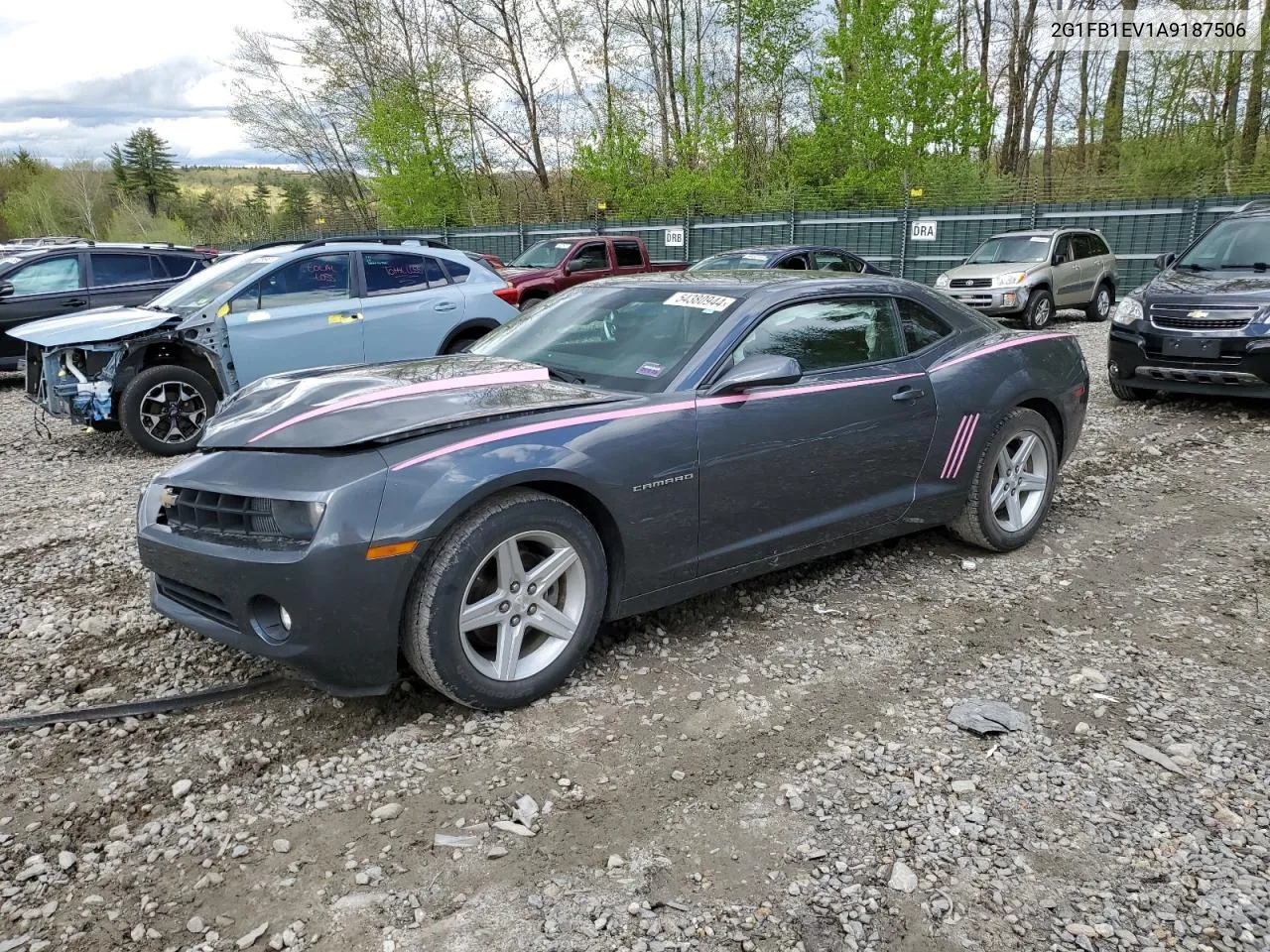 2010 Chevrolet Camaro Lt VIN: 2G1FB1EV1A9187506 Lot: 54380944