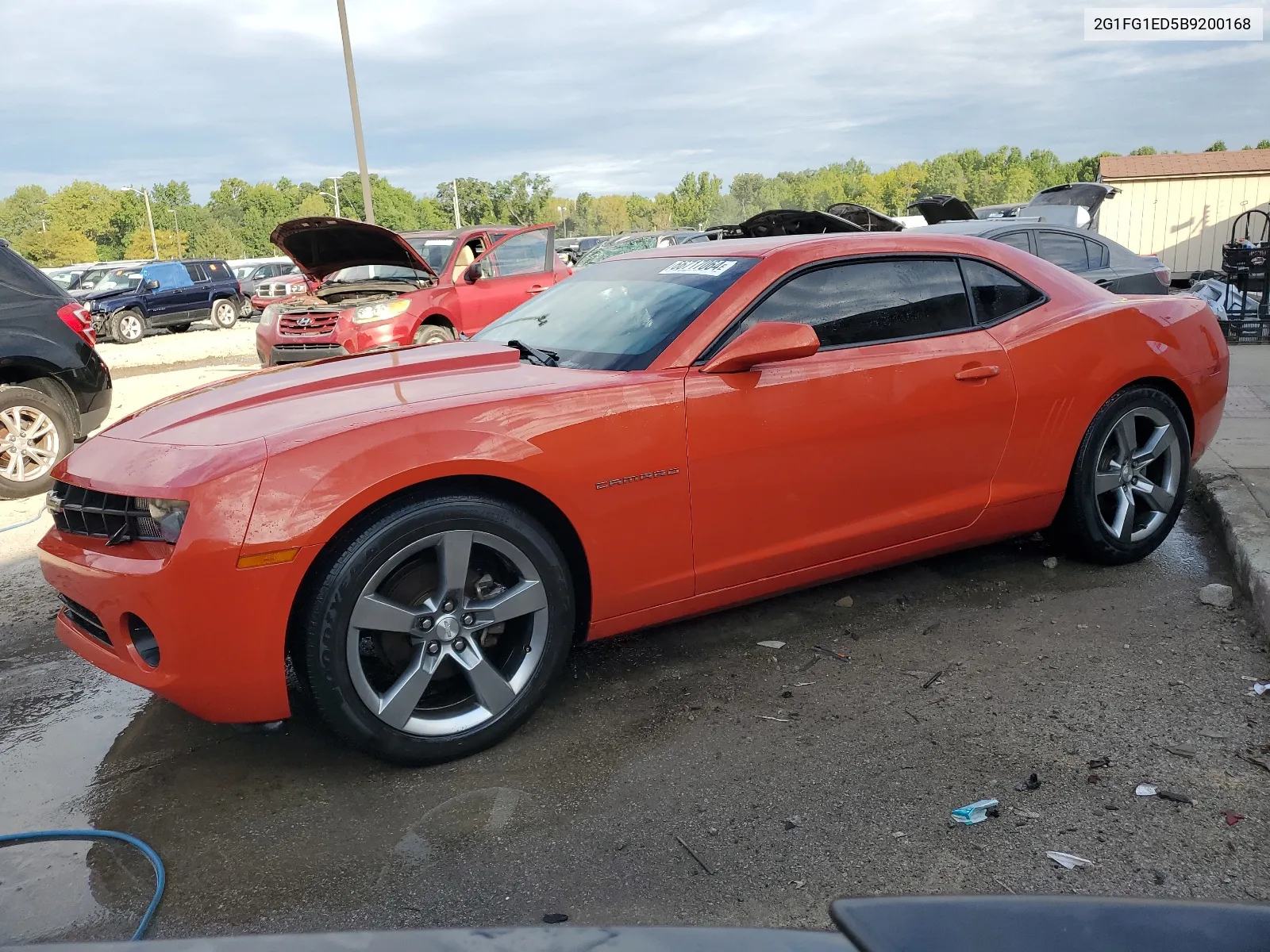 2011 Chevrolet Camaro Lt VIN: 2G1FG1ED5B9200168 Lot: 66717064