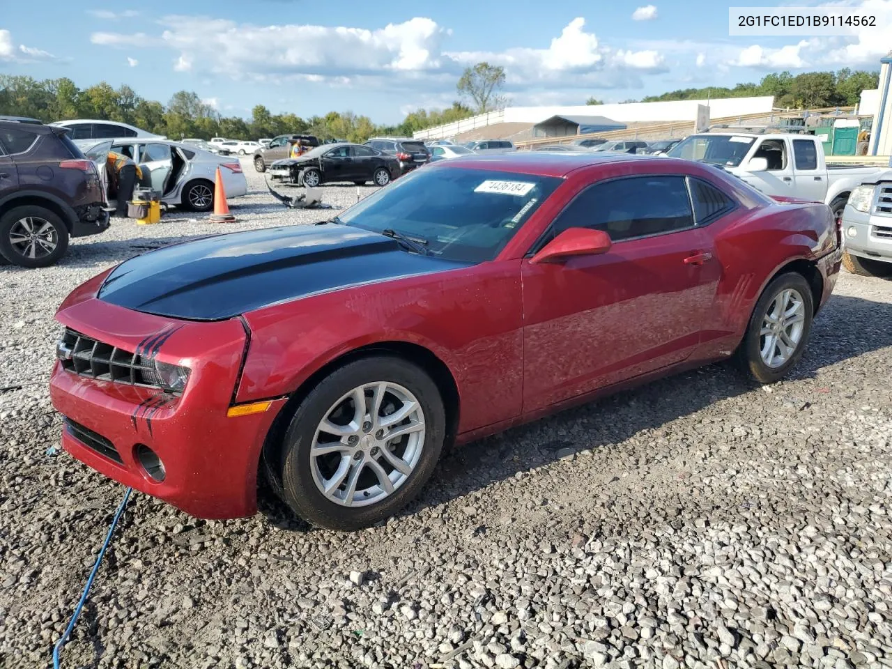 2011 Chevrolet Camaro Lt VIN: 2G1FC1ED1B9114562 Lot: 74436184