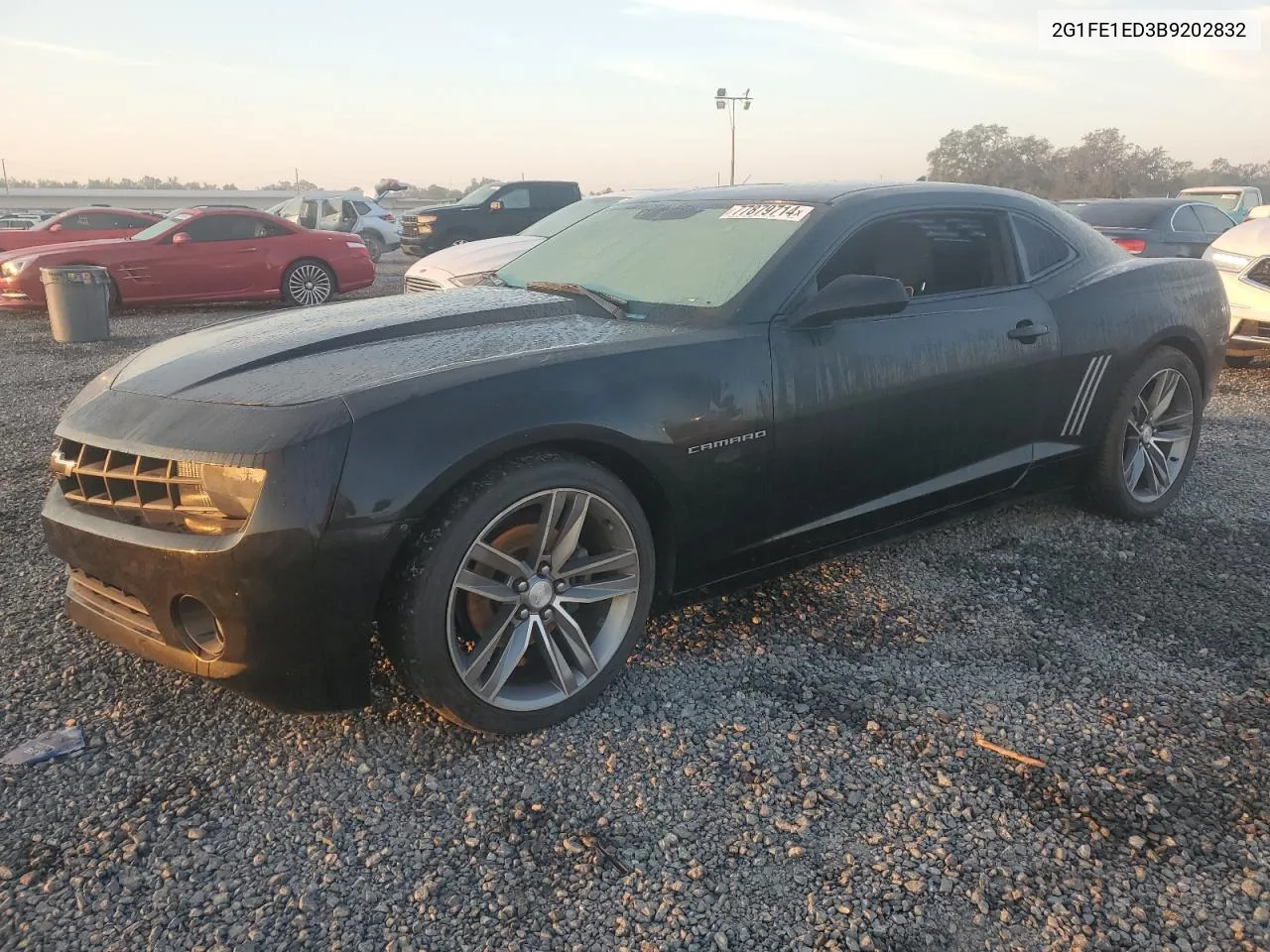 2011 Chevrolet Camaro Ls VIN: 2G1FE1ED3B9202832 Lot: 77879714