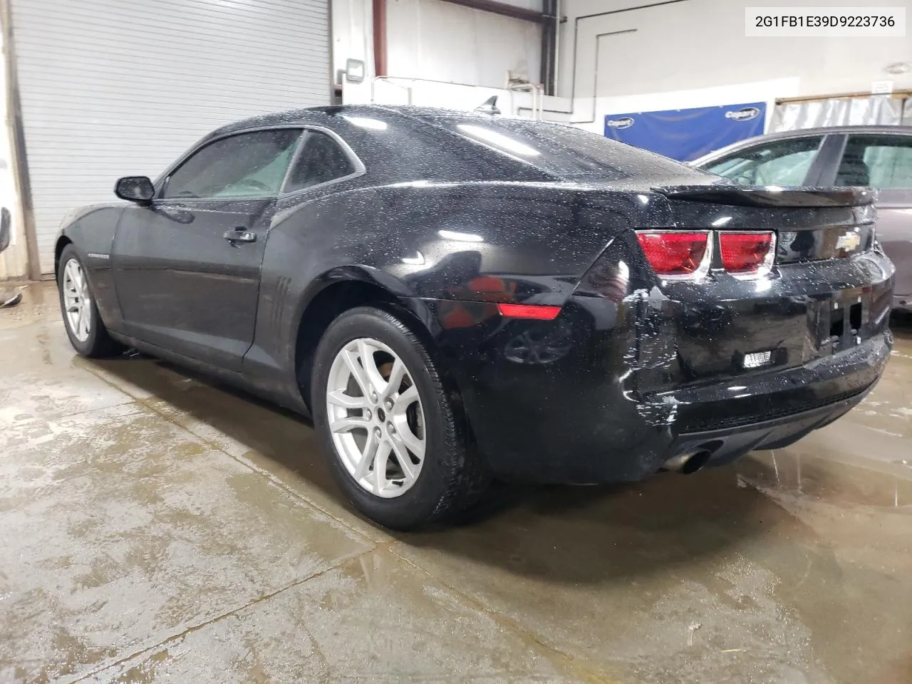 2013 Chevrolet Camaro Lt VIN: 2G1FB1E39D9223736 Lot: 48818524