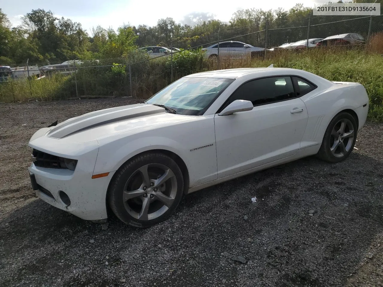 2013 Chevrolet Camaro Lt VIN: 2G1FB1E31D9135604 Lot: 73387694