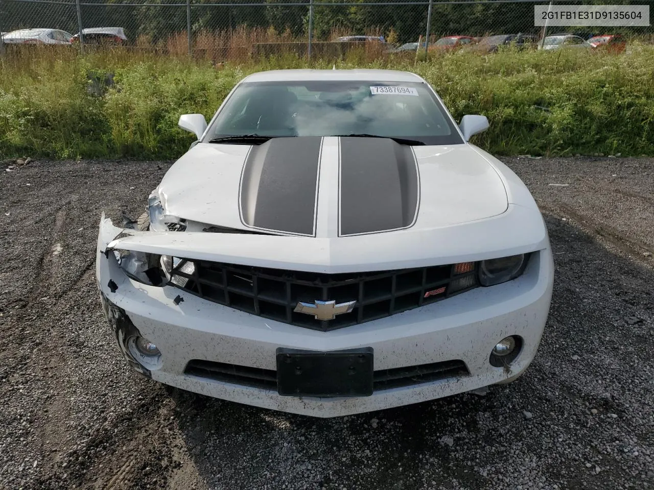 2013 Chevrolet Camaro Lt VIN: 2G1FB1E31D9135604 Lot: 73387694