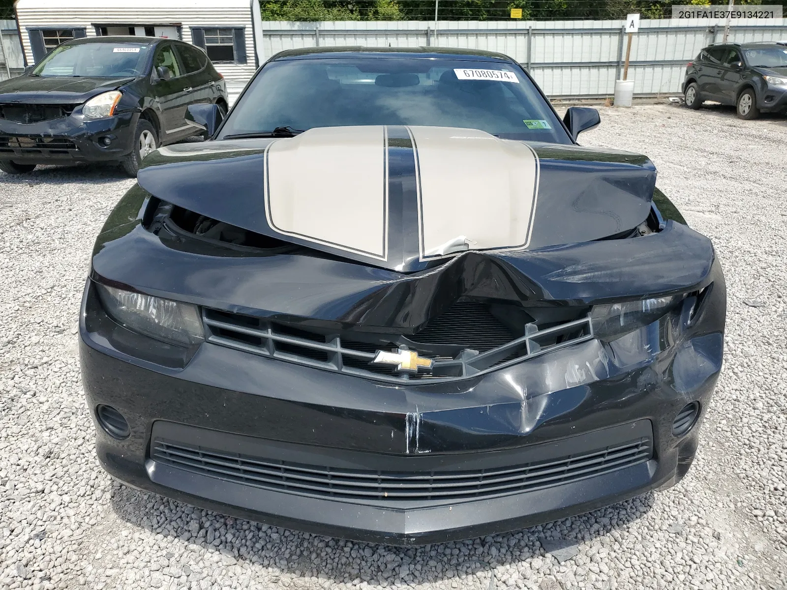 2014 Chevrolet Camaro Ls VIN: 2G1FA1E37E9134221 Lot: 67080574