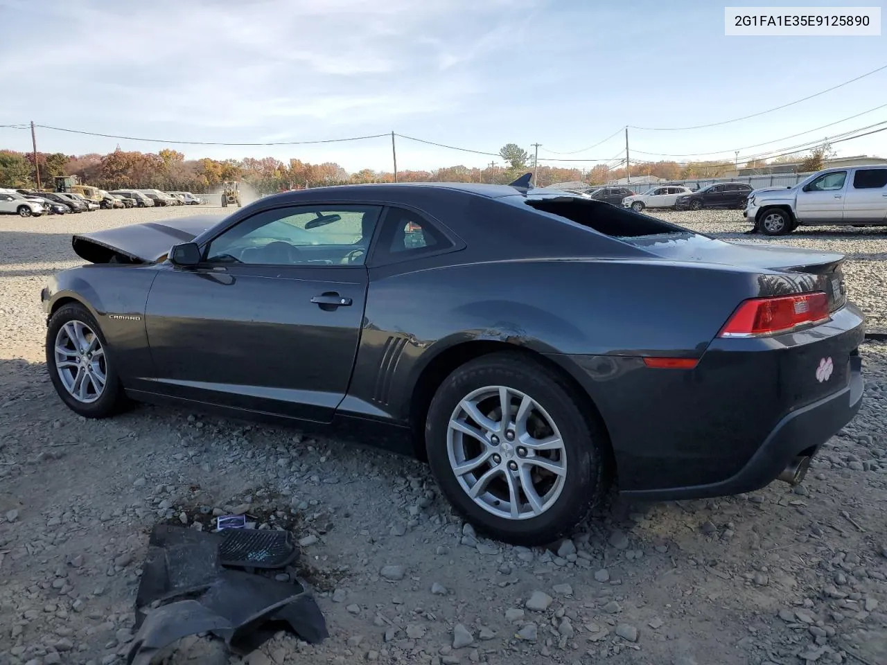 2014 Chevrolet Camaro Ls VIN: 2G1FA1E35E9125890 Lot: 77256784